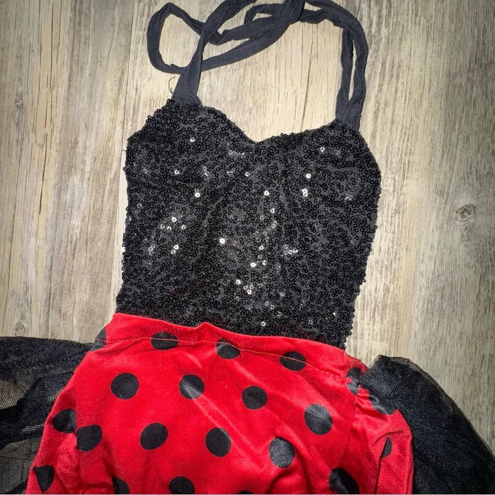 Ladybug Kids Costume - Red and Black